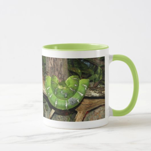 Mug à sonnerie Serpent Boa Vert (Droite)