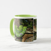 Mug à sonnerie Serpent Boa Vert (Devant gauche)