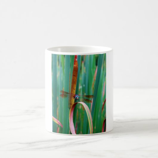 Mug A teal Eyed Dragonfly with cattails (Centre)