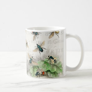 Mug Abeille Reine Entomologie Botanique Vintage