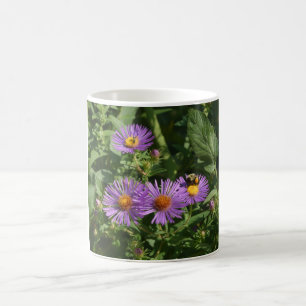 Mug Abeilles travaillant sur des fleurs d'aster