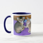 Mug Abyssinian Kittens (Gauche)