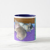 Mug Abyssinian Kittens (Centre)