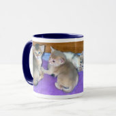 Mug Abyssinian Kittens (Devant gauche)