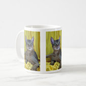 Mug Abyssinien, habituel (Devant gauche)