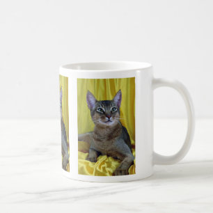 Mug Abyssinien, habituel