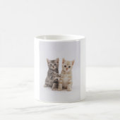 Mug Accueil de chats (Centre)