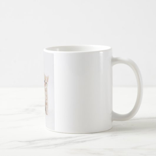 Mug Accueil de chats (Droite)