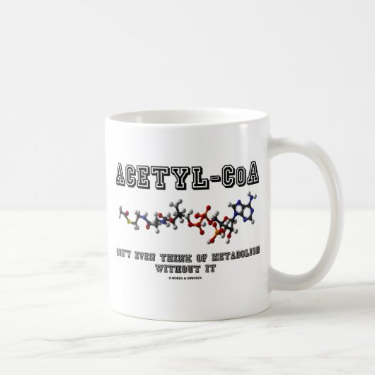 Mug Acétyl-CoA ne pense même pas au métabolisme sans (Droite)