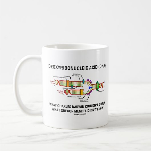 Mug Acide désoxyribonucléique (ADN) Mendel Darwin (Gauche)