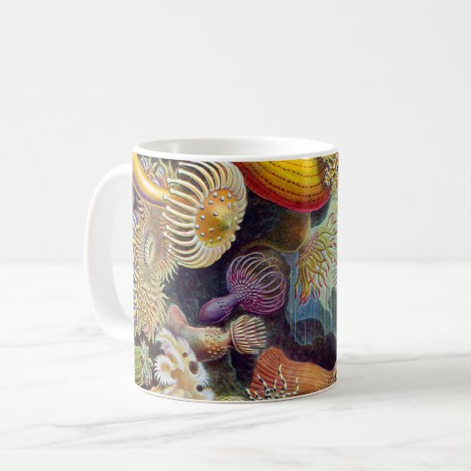 Mug Actinie d'Ernst Haeckel Actiniaea (Devant gauche)