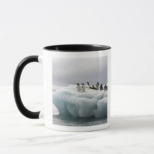 Mug Adelie Penguin Pygoscelis adeliae), (Gauche)
