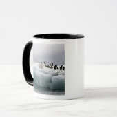Mug Adelie Penguin Pygoscelis adeliae), (Devant gauche)