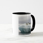 Mug Adelie Penguin Pygoscelis adeliae), (Devant droit)