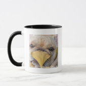 Mug Adorable Chien de France (Gauche)