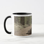 Mug Adorable Labrador Retriever Puppy On Forest Trail (Gauche)