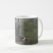 Mug Aegypius monachus (Devant droit)