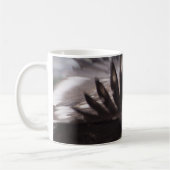 Mug Aegypius monachus (Gauche)