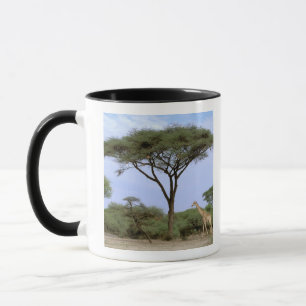 Mug Afrique, Botswana, delta de l'Okavango. Sud