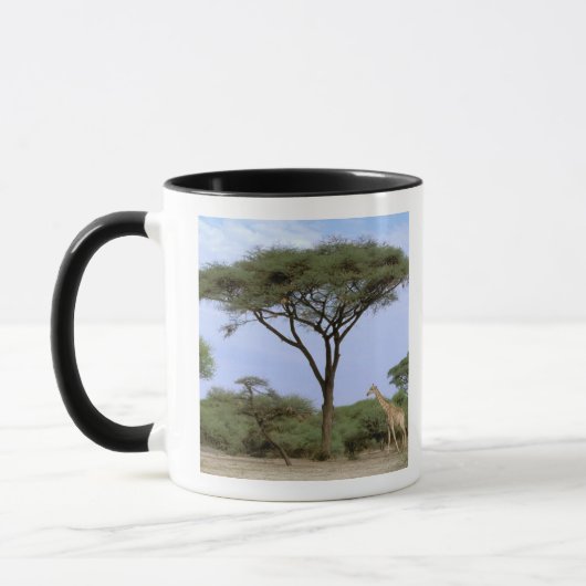 Mug Afrique, Botswana, delta de l'Okavango. Sud (Gauche)