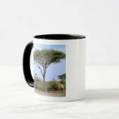 Mug Afrique, Botswana, delta de l'Okavango. Sud (Devant gauche)