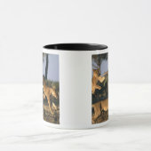 Mug Afrique, Botswana, Parc national de Chobe, Lioness (Centre)