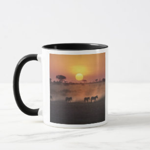 Mug Afrique, Kenya, Amboseli NP. Marche de Zebra