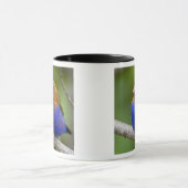 Mug Afrique. Kenya. Grenadier pourpré (Centre)