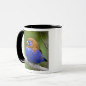 Mug Afrique. Kenya. Grenadier pourpré (Devant gauche)