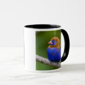 Mug Afrique. Kenya. Grenadier pourpré (Devant droit)