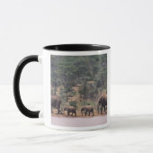 Mug Afrique, Kenya, Nanyuki, Mpala. Africain (Gauche)