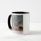 Mug Afrique, Kenya, Nanyuki, Mpala. Africain (Devant gauche)