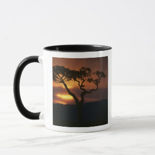 Mug Afrique, Kenya, Réserve de Masai Mara, Cadre