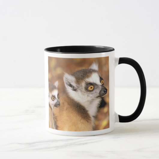 Mug Afrique, Madagascar, Réserve privée de Berenty. (Droite)