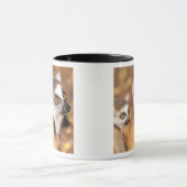 Mug Afrique, Madagascar, Réserve privée de Berenty. (Centre)