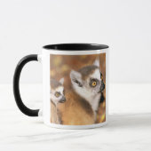 Mug Afrique, Madagascar, Réserve privée de Berenty. (Gauche)