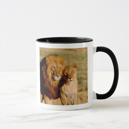 Mug Afrique, Namibie, Okonjima. Lion & Lion (Droite)