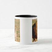 Mug Afrique, Namibie, Okonjima. Lion & Lion (Centre)
