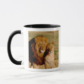 Mug Afrique, Namibie, Okonjima. Lion & Lion (Gauche)