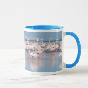 Mug Afrique, Namibie, Walvis Bay