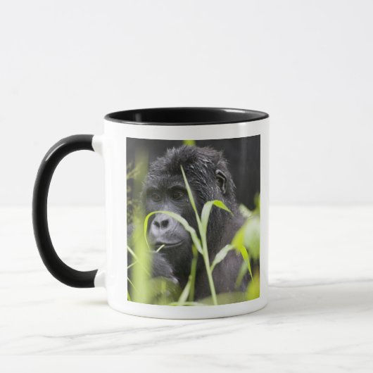 Mug Afrique Ouganda, Bwindi (Gauche)
