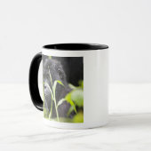 Mug Afrique Ouganda, Bwindi (Devant gauche)