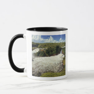Mug Afrique, Ouganda, Murchison Falls NP. L'écumeuse