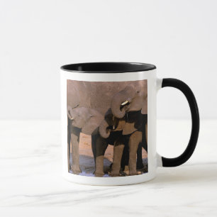 Mug Afrique, Tanzanie, Parc national de Tarangire.