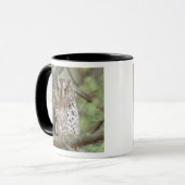 Mug Afrique. Tanzanie. Petit-duc scops à Tarangire 2 (Devant gauche)