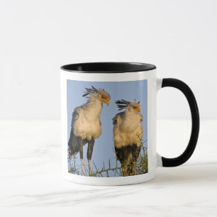 Mug Afrique. Tanzanie. Secrétaire Birds à Ndutu