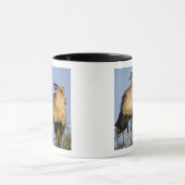 Mug Afrique. Tanzanie. Secrétaire Birds à Ndutu (Centre)