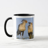 Mug Afrique. Tanzanie. Secrétaire Birds à Ndutu (Gauche)