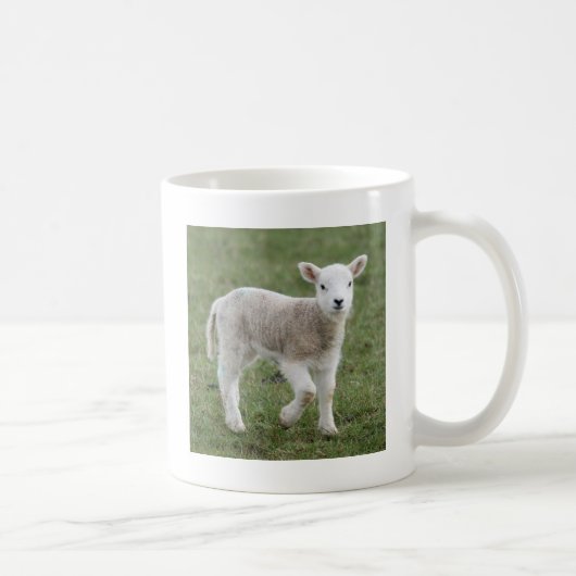 MUG AGNEAU (Droite)