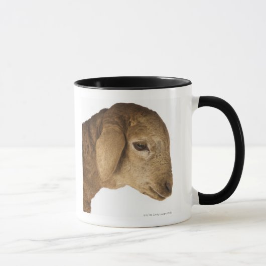 Mug Agneau domestique (Droite)